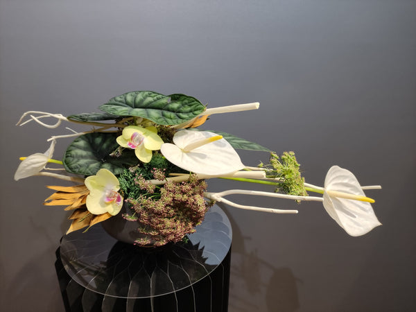 Beginner floristry course, horizontal design with alocasia leaves, anthuriums, ammi majus, mini phalaenopsis orchids and mitsumata branches