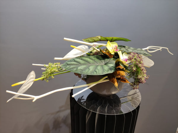 Beginner floristry course, horizontal design with alocasia leaves, anthuriums, ammi majus, mini phalaenopsis orchids and mitsumata branches