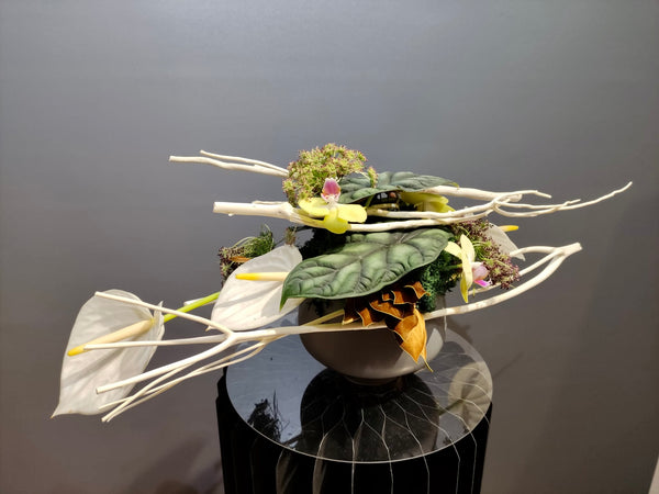 Beginner floristry course, horizontal design with alocasia leaves, anthuriums, ammi majus, mini phalaenopsis orchids and mitsumata branches