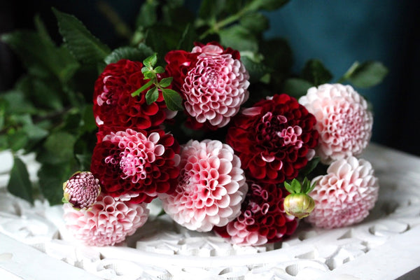 Hand-tied Bouquet Workshop, beautiful dahlias