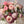 one day taster workshop, vase arrangement with hydrangeas, roses, lathyrus, scabiosa, didiscus and oxypetalum