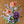 one day taster floristry workshop, flower arrangement with amaryllis, roses, lathyrus, vanda, spirea and acacia