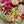 seasonal wreath workshop, chrysanthemum, roses, dahlias, daucus carota, clematis and rubus