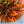 seasonal wreath workshop, oak leaves colour gradation