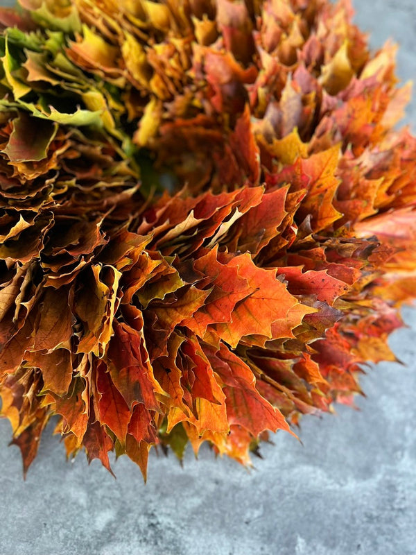 seasonal wreath workshop, oak leaves colour gradation